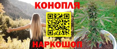 молекула духа Владикавказ