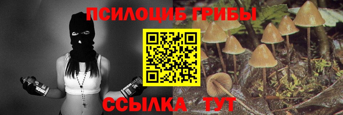 Галлюциногенные грибы MAGIC MUSHROOMS  закладки  Бугуруслан  Вход с VPN 